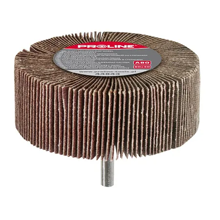 Perie Abraziva Lamelara 80X30MM - GR.120