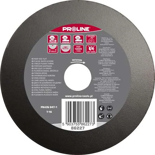 Disc Raspel Plat / Fin - 125MM