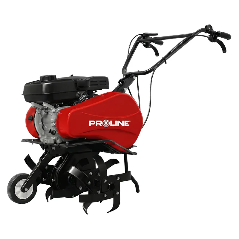 Motosapa pe Benzina / Curea - 595MM / 212CM? / 2.8KW