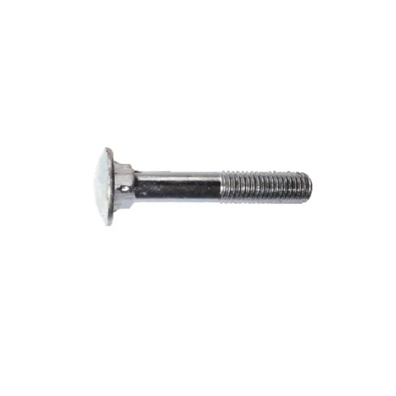Suruburi Metrice cu Cap Torbant M10X30MM, 100/Set