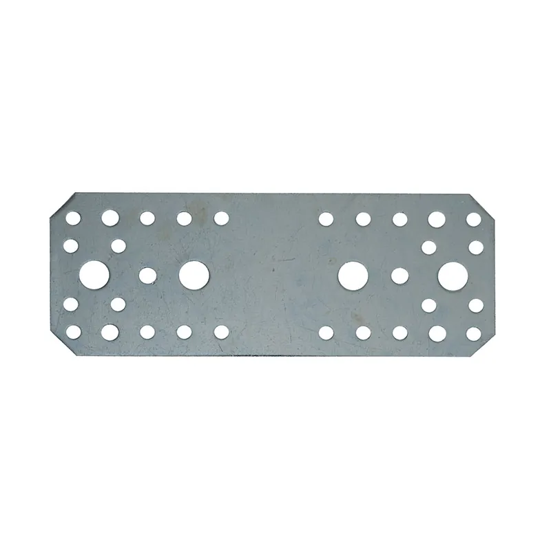 Placa Perforata 2.5/170X65MM
