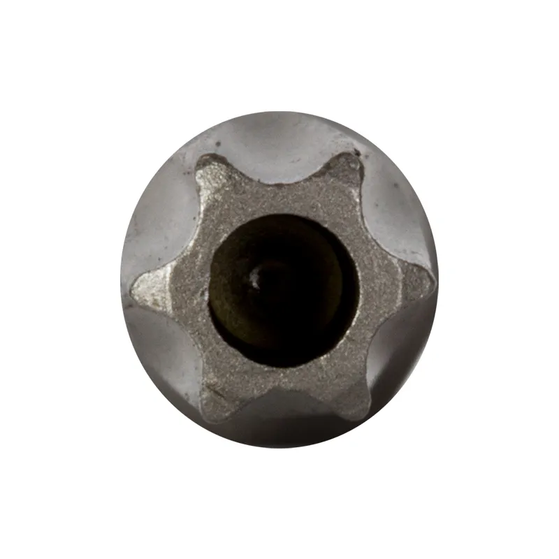 Varfuri Torx 1/4" / 25MM cu Orificiu - T40, 10/Set