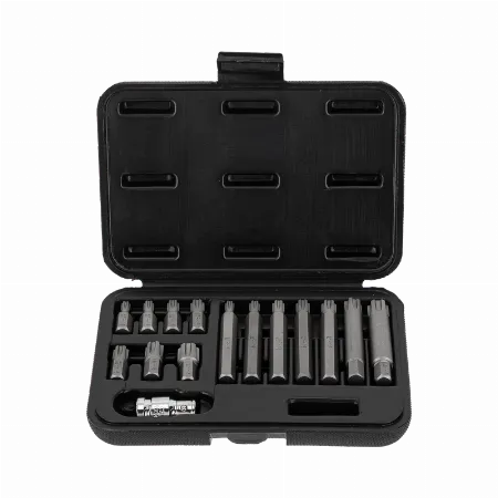 Set varfuri RIBE M6 - M14, 30 si 75 mm, Proline 10746, 15 piese