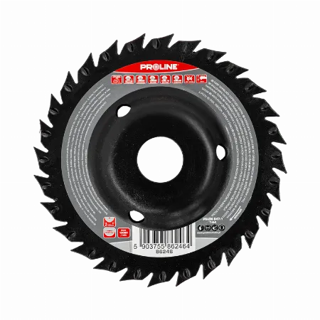 Disc convex raspel cu fierastrau Proline 86246, 125 mm, dinti grosi