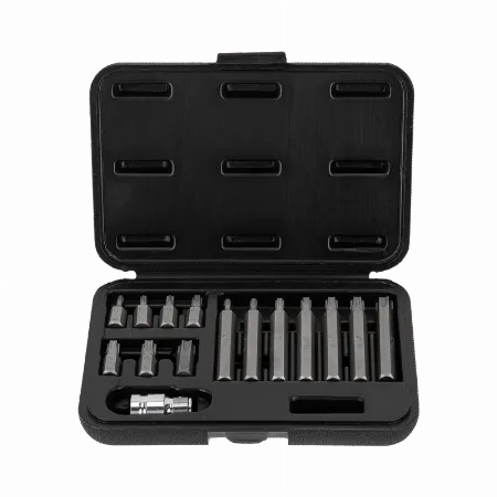 Set varfuri Torx Proline T20-T55, 15 piese