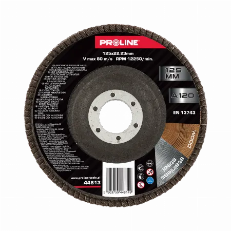 Disc abraziv lamelar 125 mm granulatie 120 Proline 44814