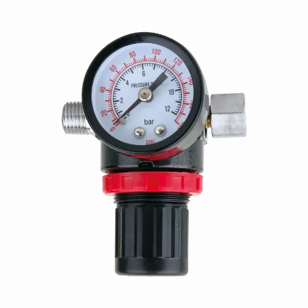 Reductor cu manometru 1/4" Proline 66383