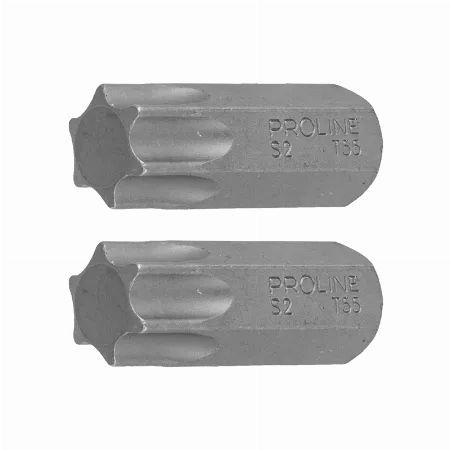 Varfuri Torx 3/8 cala, 30 mm, T55, set 2 buc
