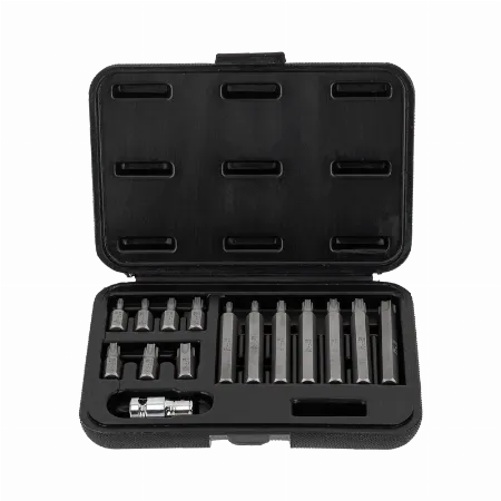 Set varfuri Torx Security cu orificiu T20-T55, 30/75 mm, 15 piese, Proline 10745