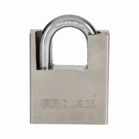 Lacat din fonta 50 mm cu cheie frezata Proline 24950