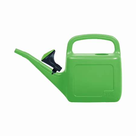 Cana stropitoare 5 L verde