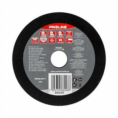 Disc raspel plat mediu 125 mm