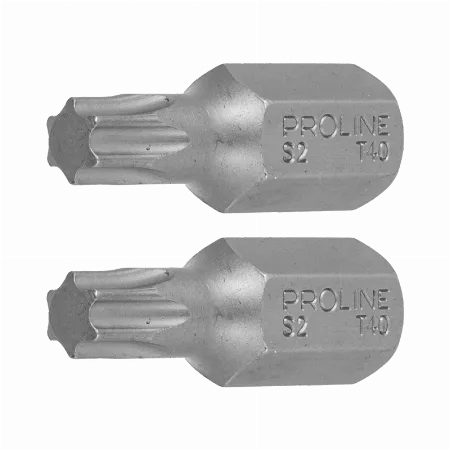 Varfuri Torx 3/8" / 30 mm - T40, set 2 buc