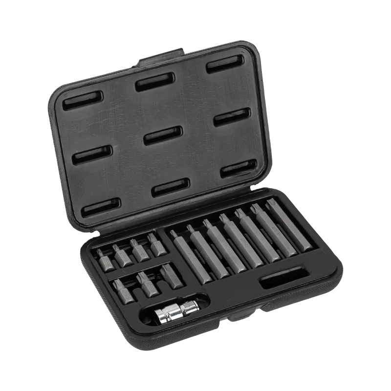 Set Varfuri Torx CR-VA S2 - 15P.