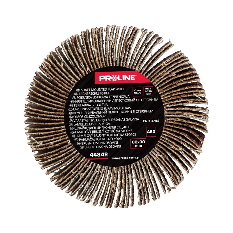 Perie Abraziva Lamelara 80X30MM - GR.60