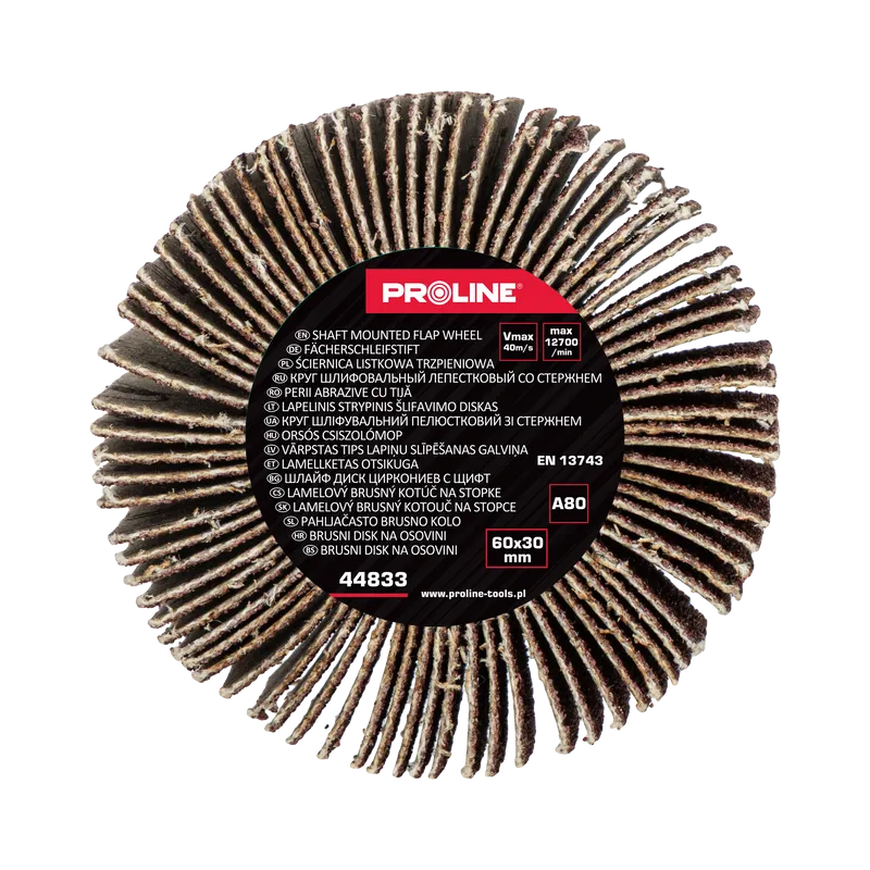 Perie Abraziva Lamelara 60X30MM - GR.80