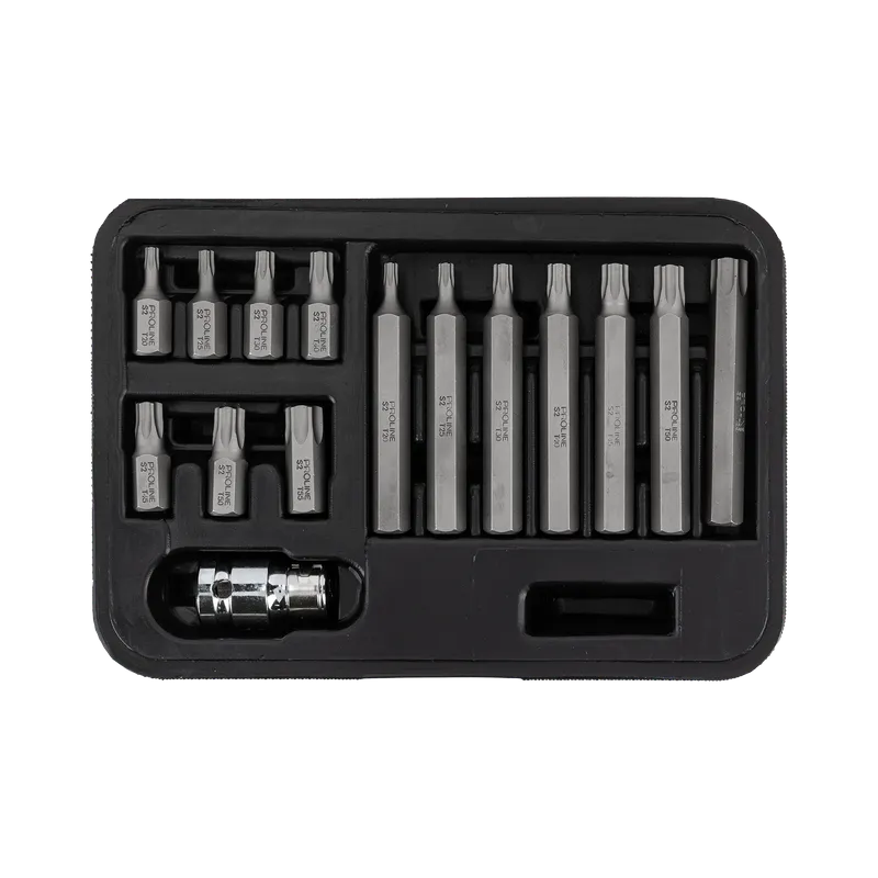 Set Varfuri Torx cu Orificiu CR-VA S2 - 15P.