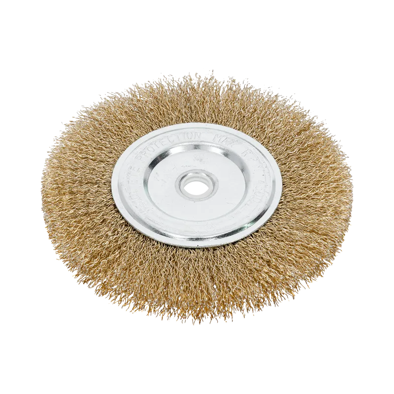 Perie Sarma Alama Tip Circular cu Orificiu 150MM