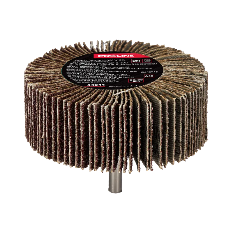 Perie Abraziva Lamelara 80X30MM - GR.40