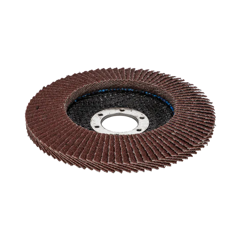 Disc Abraziv Lamelar 115MM - GR.80