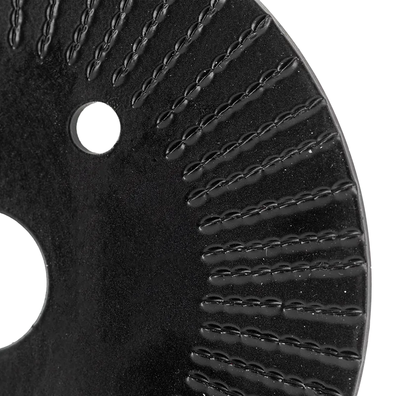 Disc Raspel Plat / Fin - 125MM