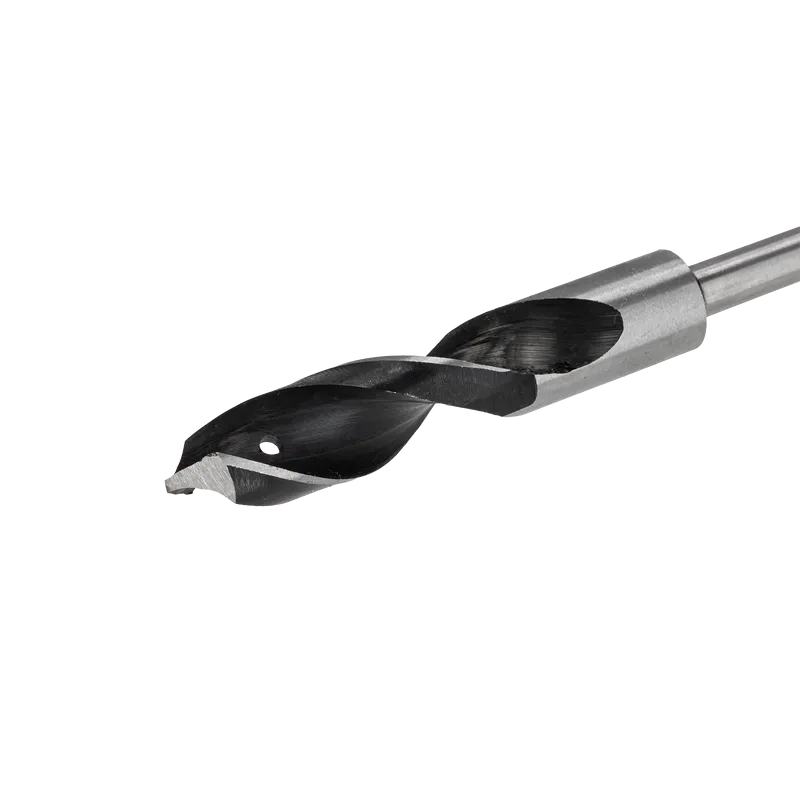 Burghiu Lemn Lung cu Prindere SDS Plus 18X600MM