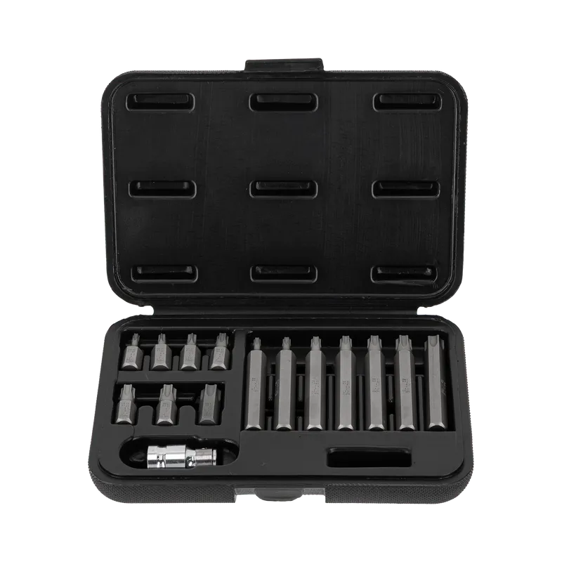Set Varfuri Torx CR-VA S2 - 15P.