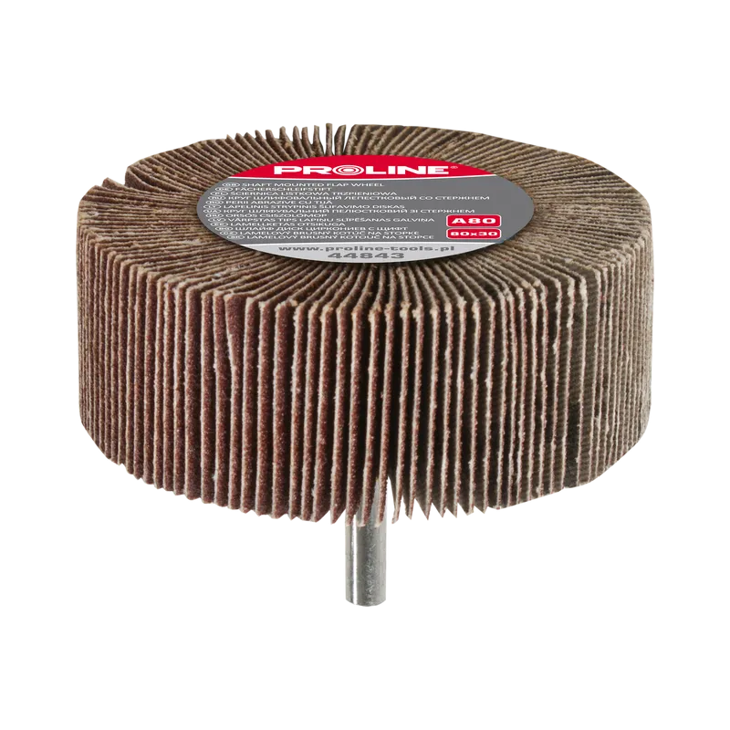 Perie Abraziva Lamelara 80X30MM - GR.120