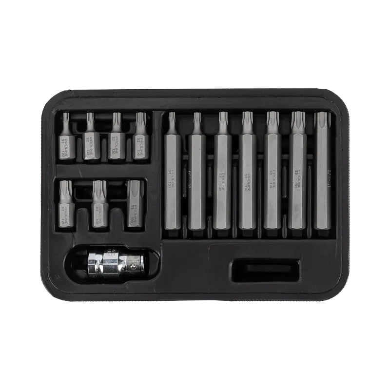 Set Varfuri Torx CR-VA S2 - 15P.