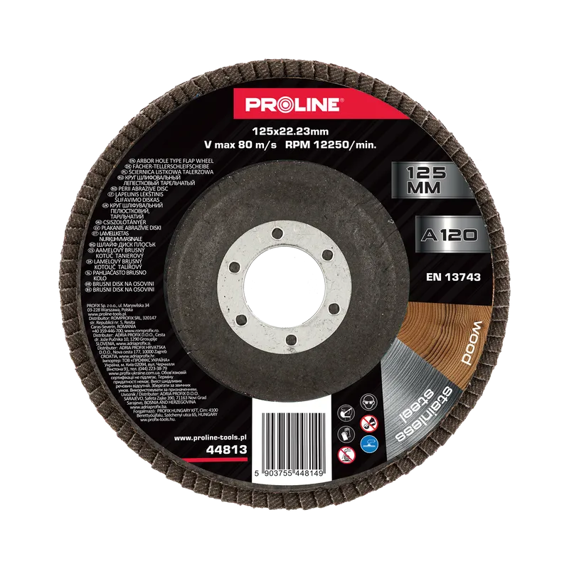 Disc Abraziv Lamelar 125MM - GR.120