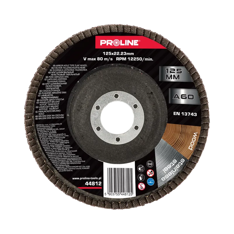 Disc Abraziv Lamelar 125MM - GR.60