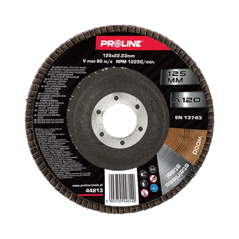 Disc Abraziv Lamelar 125MM - GR.80