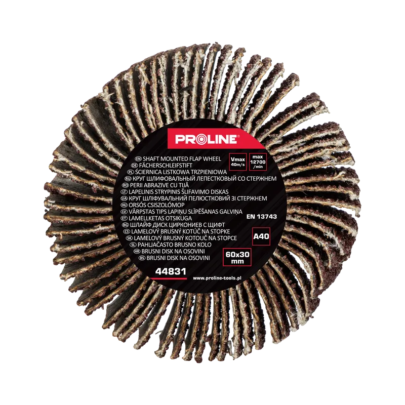 Perie Abraziva Lamelara 60X30MM - GR.40