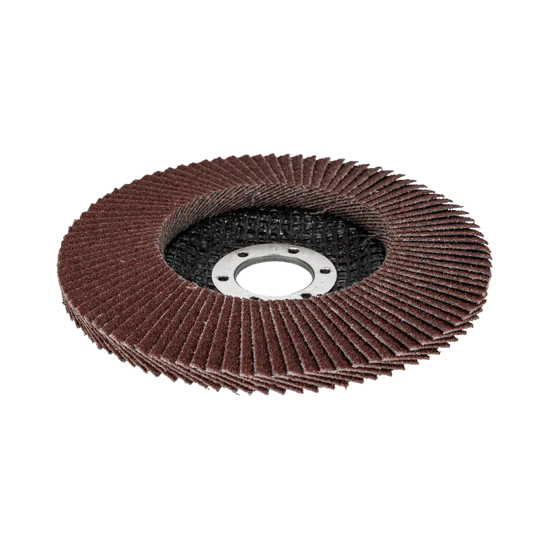 Disc Abraziv Lamelar 125MM - GR.80