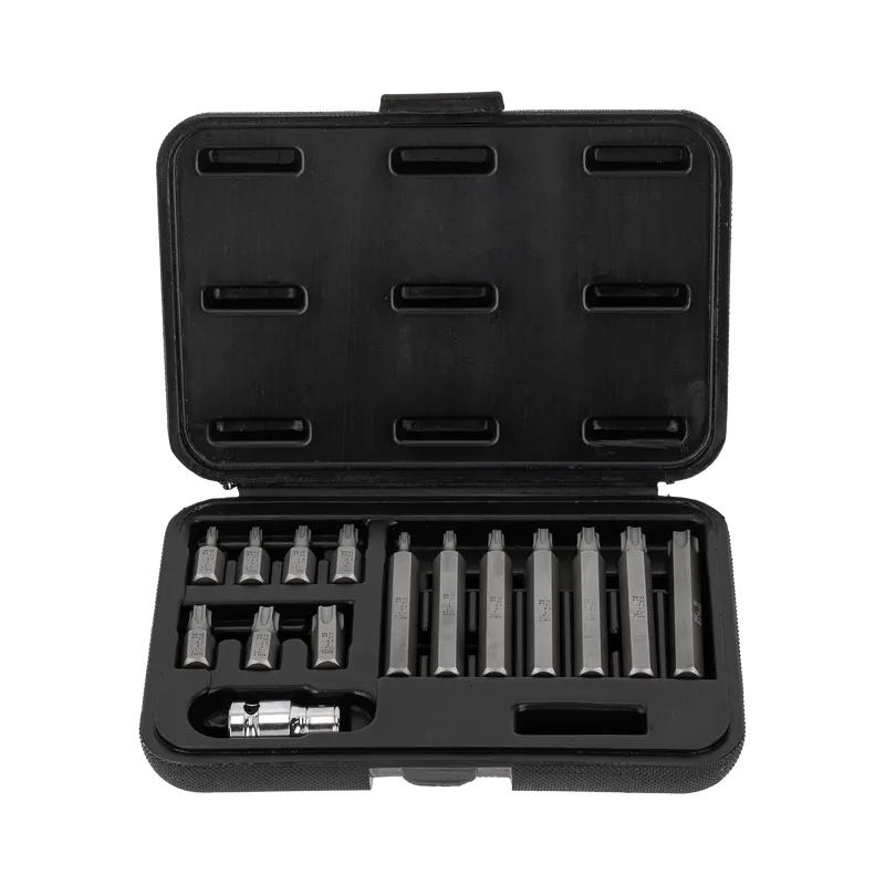 Set Varfuri Torx cu Orificiu CR-VA S2 - 15P.