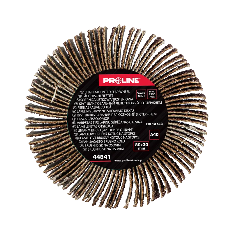 Perie Abraziva Lamelara 80X30MM - GR.40