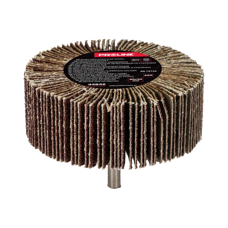 Perie Abraziva Lamelara 80X30MM - GR.60