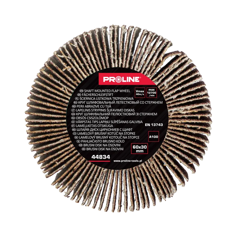 Perie Abraziva Lamelara 60X30MM - GR.100