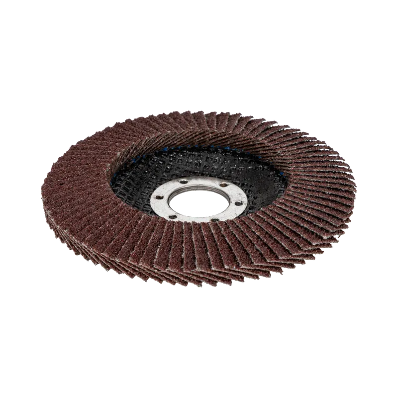 Disc Abraziv Lamelar 115MM - GR.40