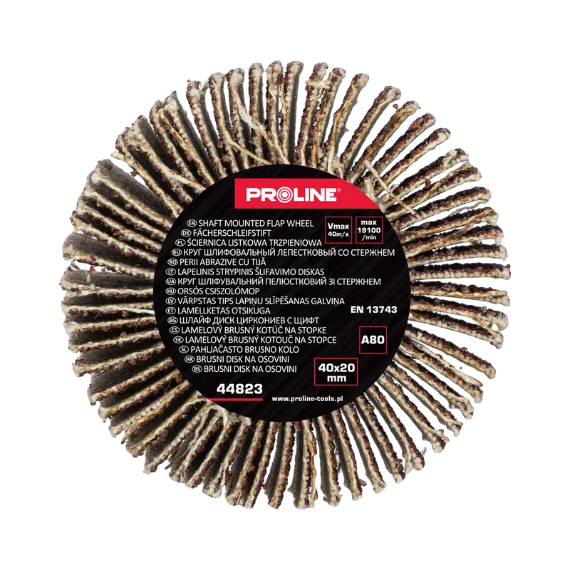 Perie Abraziva Lamelara 40X20MM - GR.80