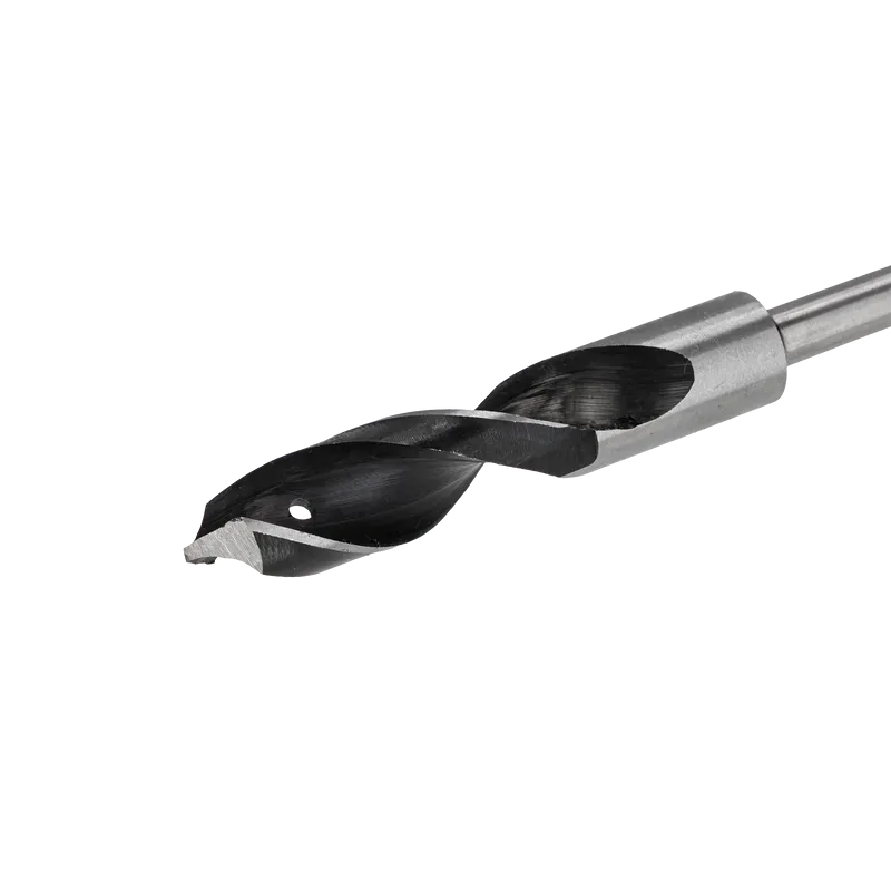 Burghiu Lemn Lung cu Prindere SDS Plus 20X600MM