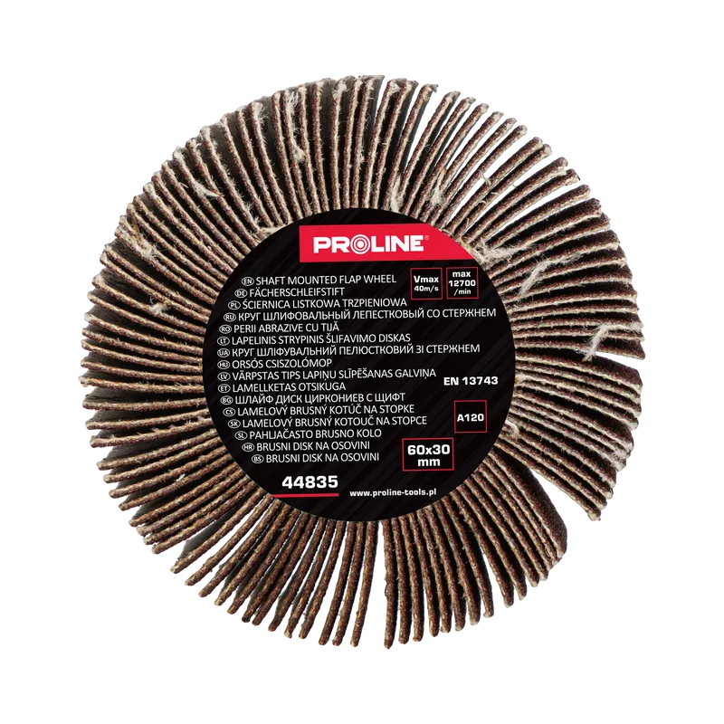 Perie Abraziva Lamelara 60X30MM - GR.120