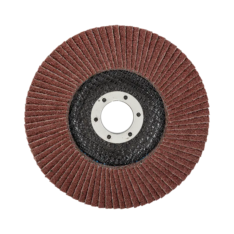 Disc Abraziv Lamelar 125MM - GR.60