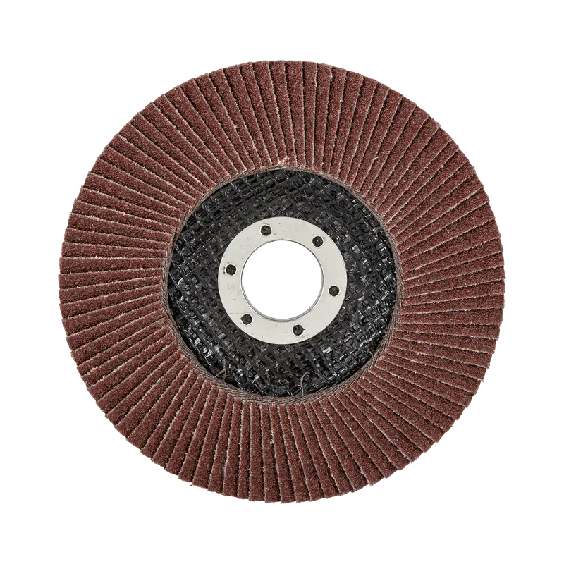 Disc Abraziv Lamelar 125MM - GR.80