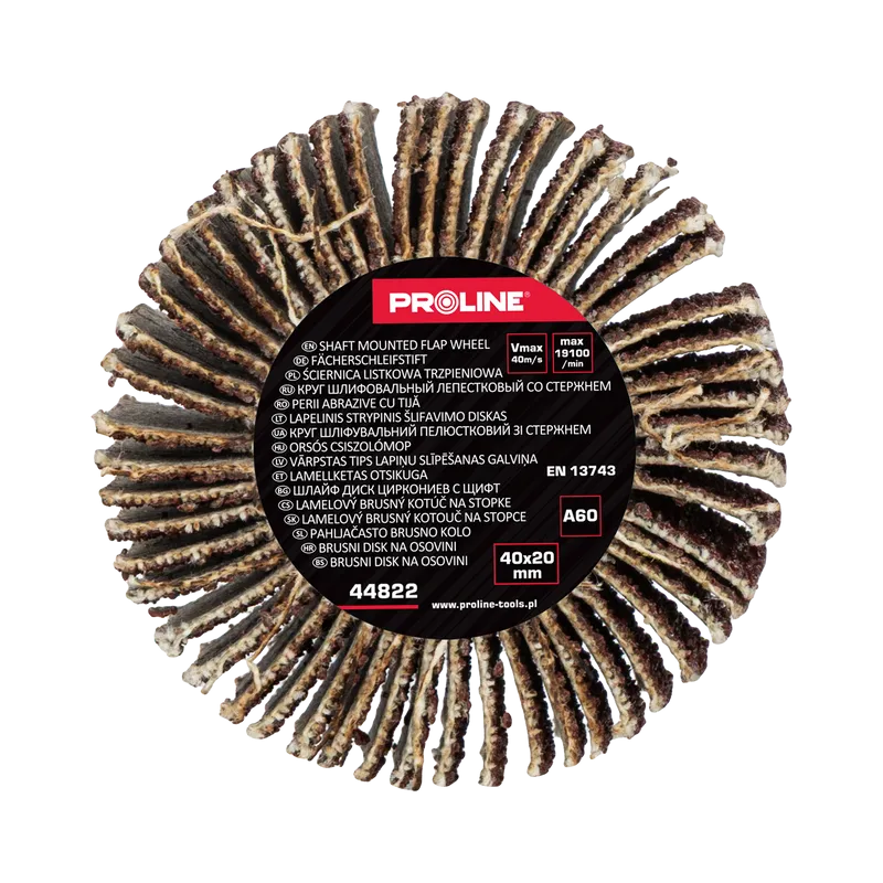 Perie Abraziva Lamelara 40X20MM - GR.60