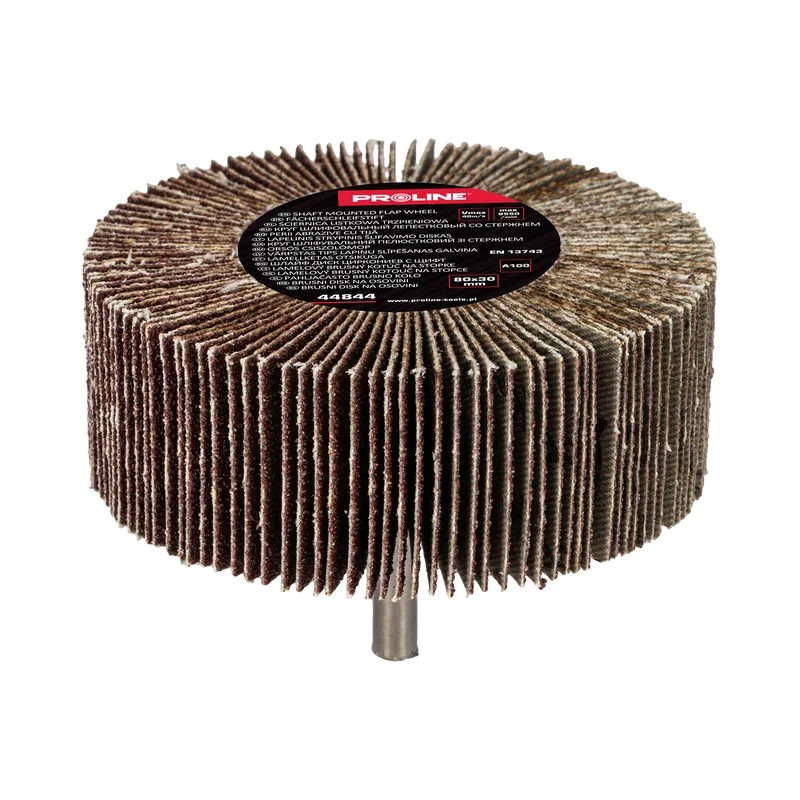 Perie Abraziva Lamelara 80X30MM - GR.100