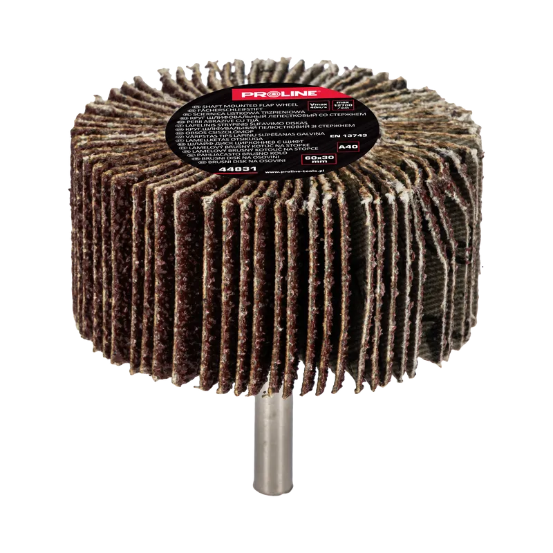Perie Abraziva Lamelara 60X30MM - GR.40