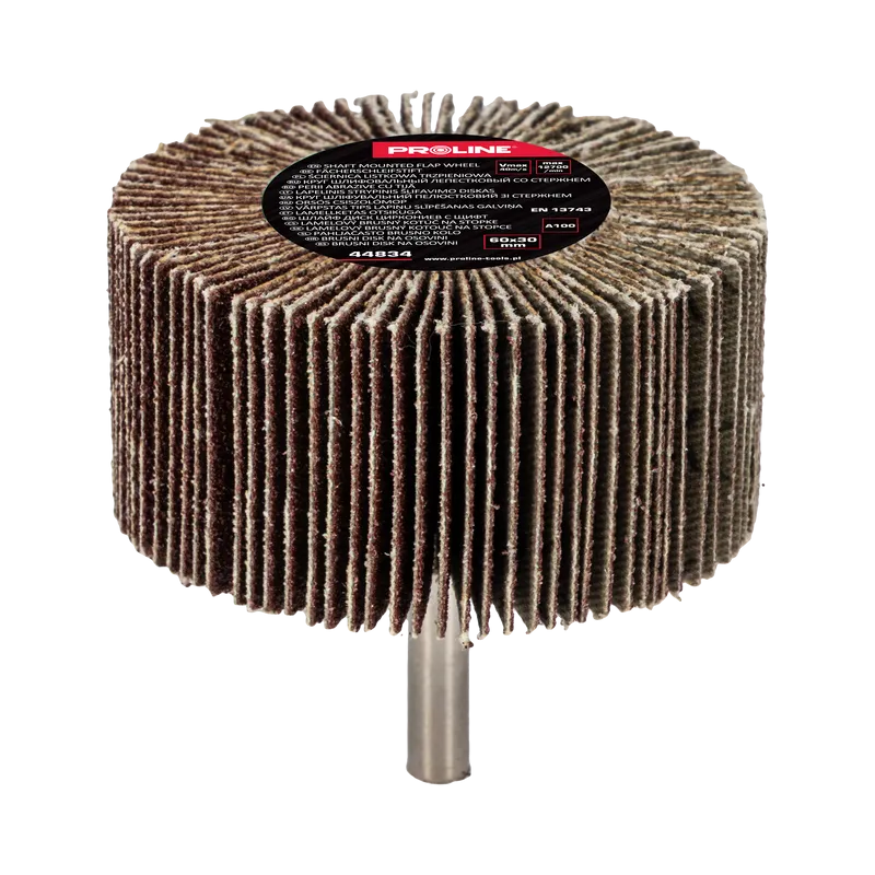 Perie Abraziva Lamelara 60X30MM - GR.100