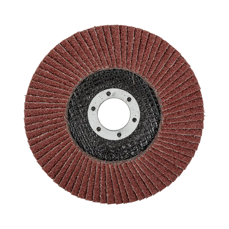 Disc Abraziv Lamelar 125MM - GR.40