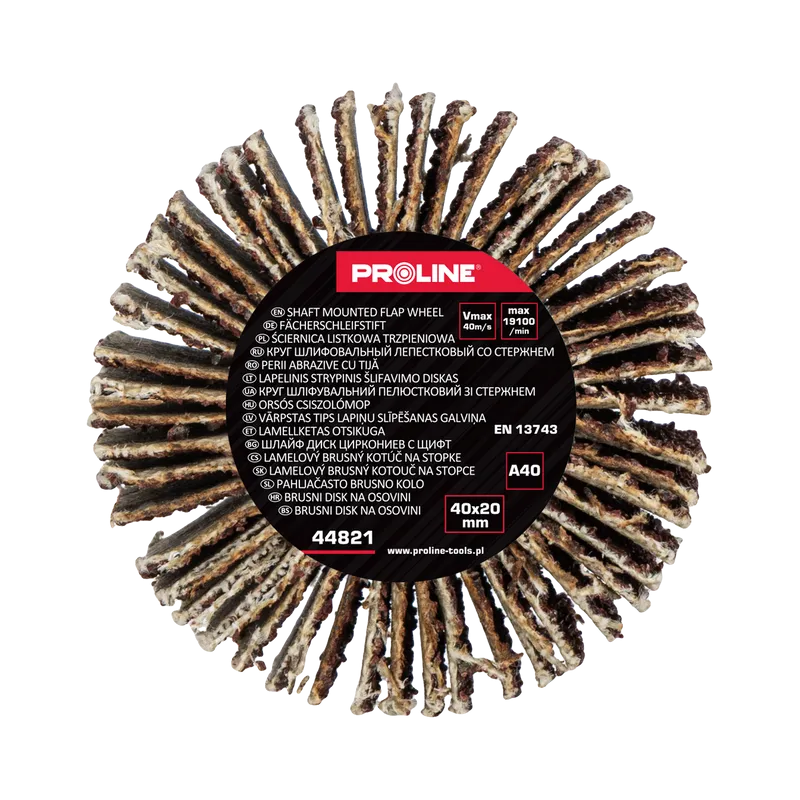 Perie Abraziva Lamelara 40X20MM - GR.40